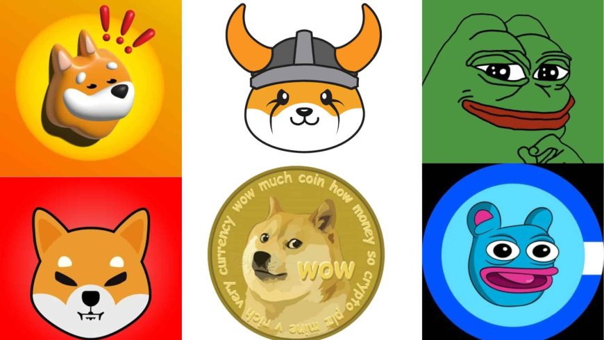 O que é uma Meme Coin?